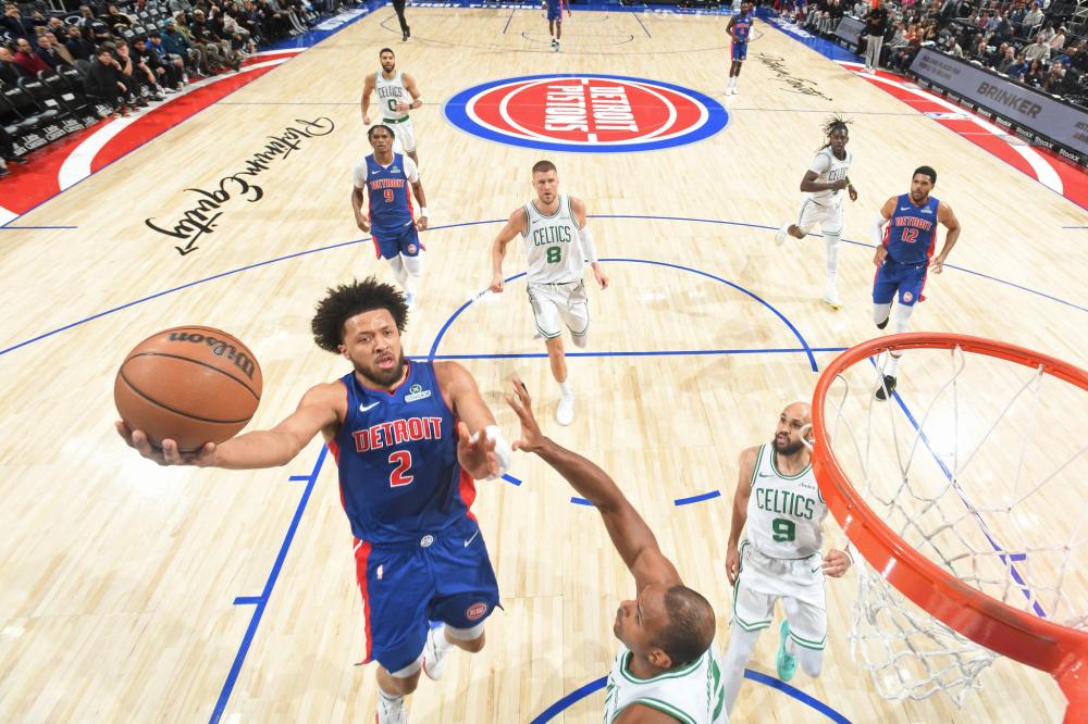 十分稀缺 十分稀缺